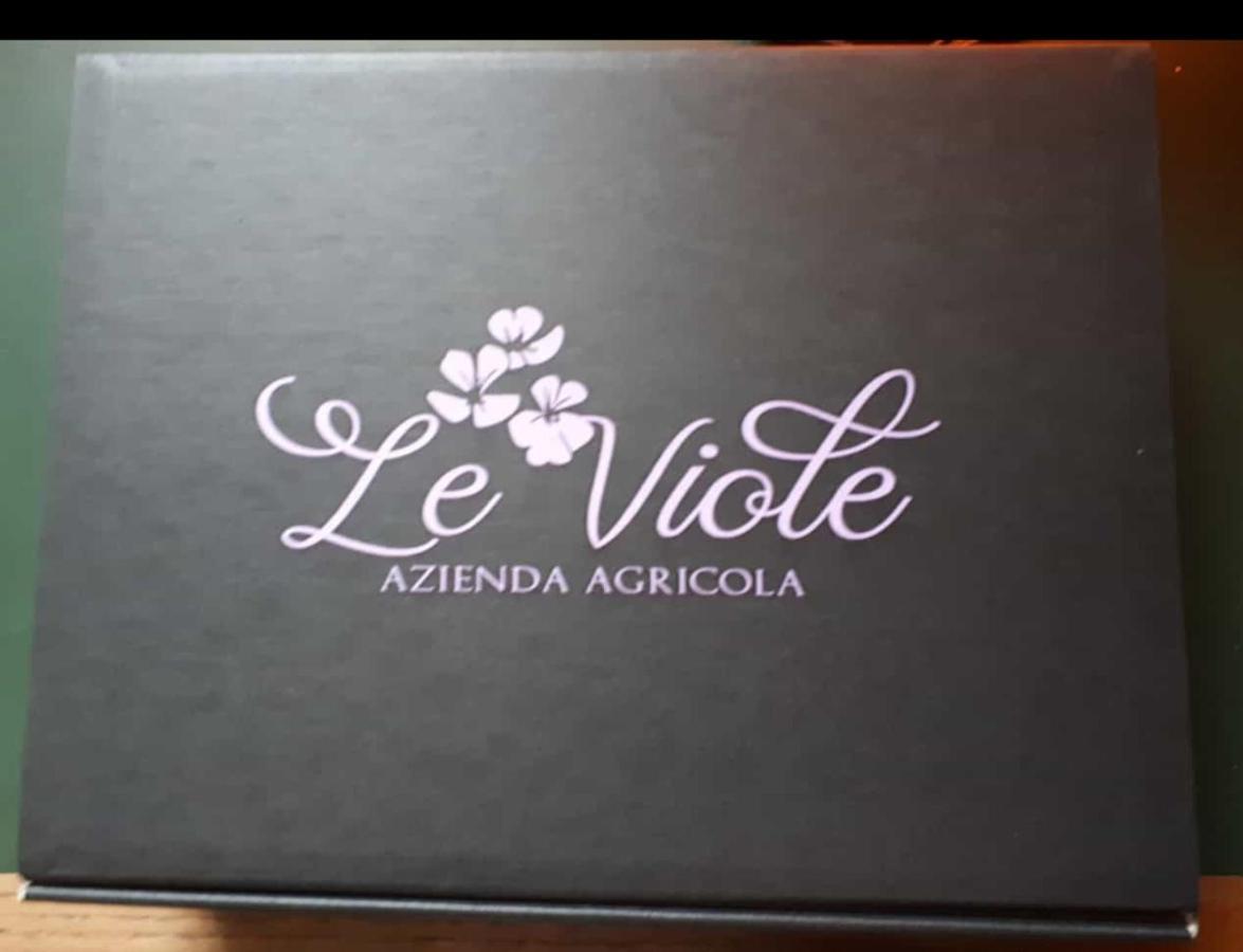 Agriturismo Le Viole Barolo Exteriér fotografie