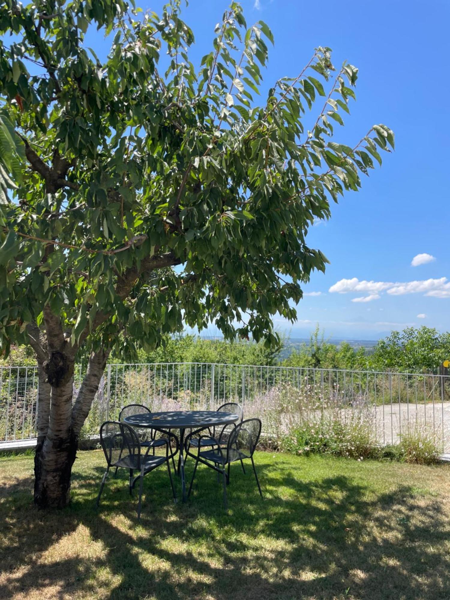 Agriturismo Le Viole Barolo Exteriér fotografie